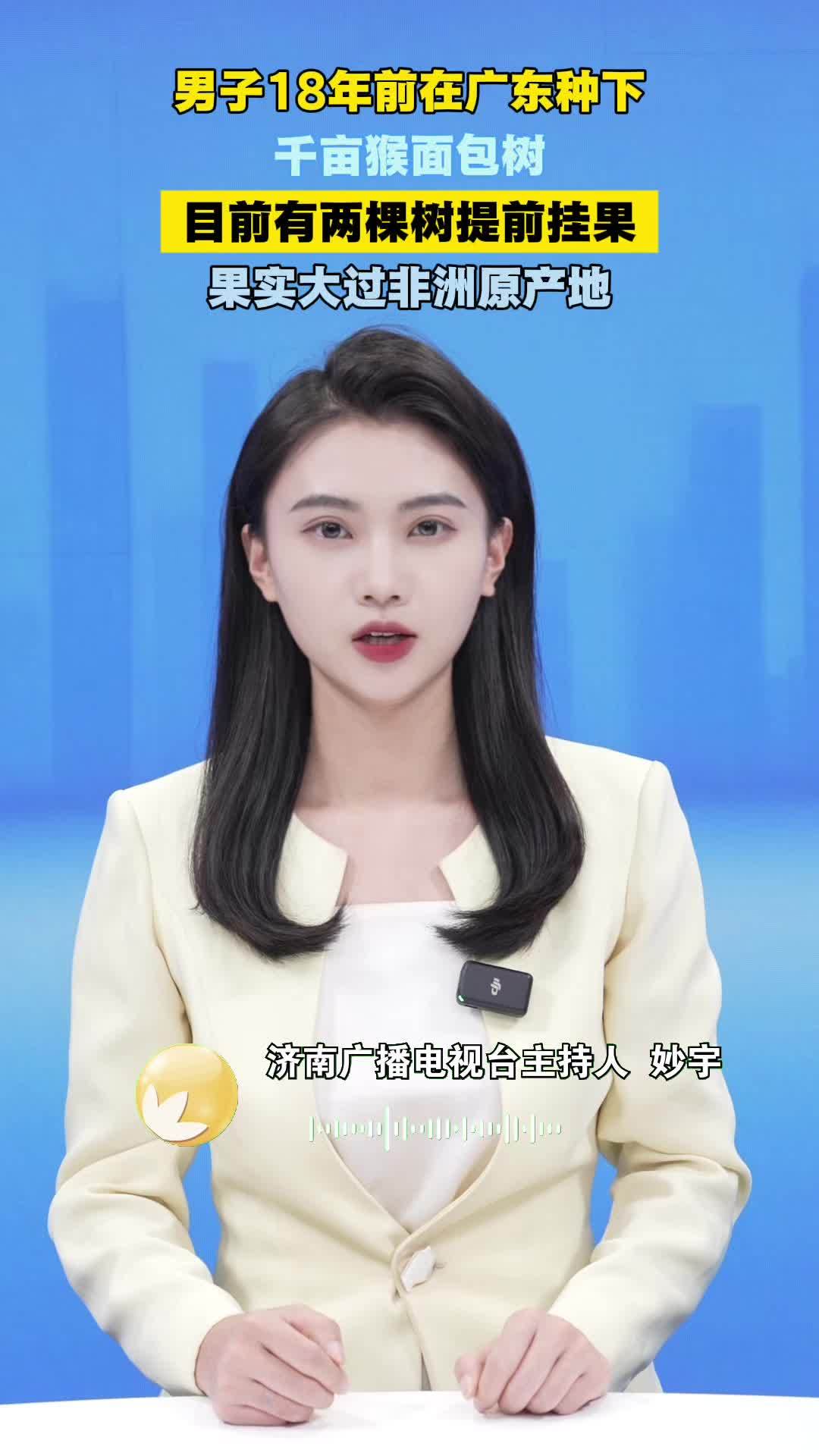 9月16日发布,广东湛江。十八年前,广东湛江一合作社负责人林荣振从马达加斯加引进猴面包树,