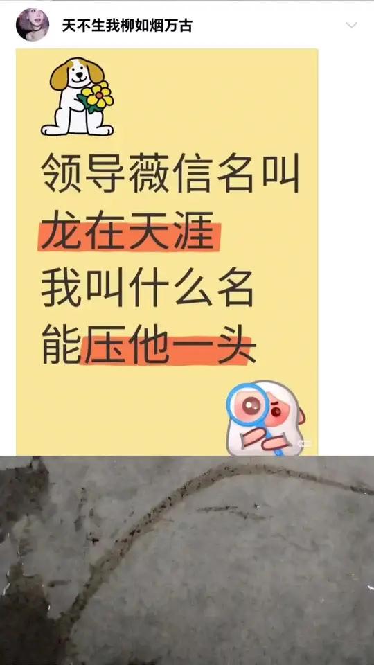 搞笑皮皮虾甩掉烦恼取名神评论天天搞笑
