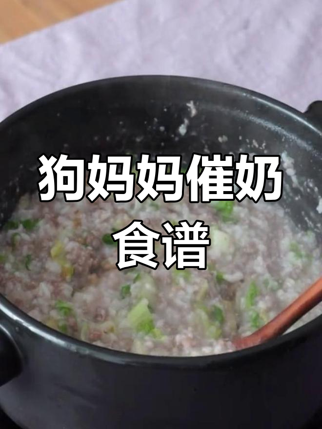 狗狗哺乳期营养餐,牛骨粥助力催奶