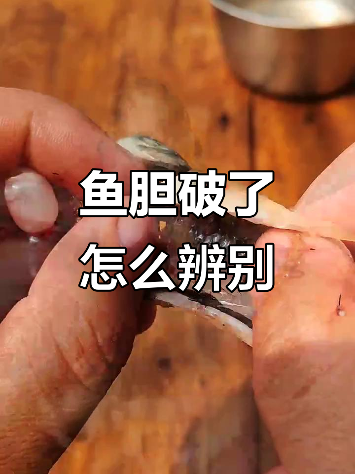 如何判断鱼胆是否破裂?草绿色苦胆未破的标志