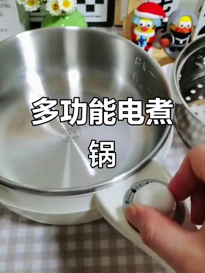 316不锈钢电锅,多功能适合宝宝辅食烹饪