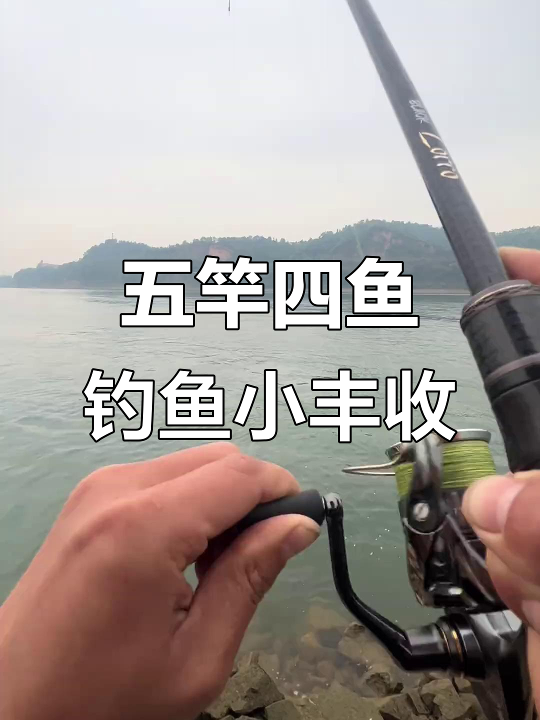 夜钓五竿三中,白鲢翘嘴接连上钩