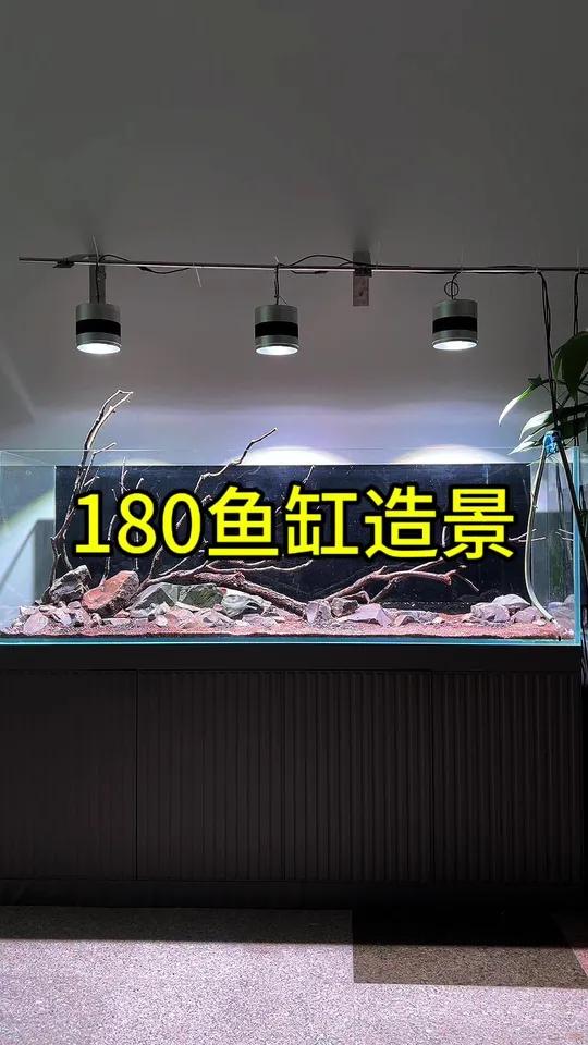 180鱼缸造景过程分享 造景 180鱼缸造景 鱼缸造景 南美缸 草缸造景