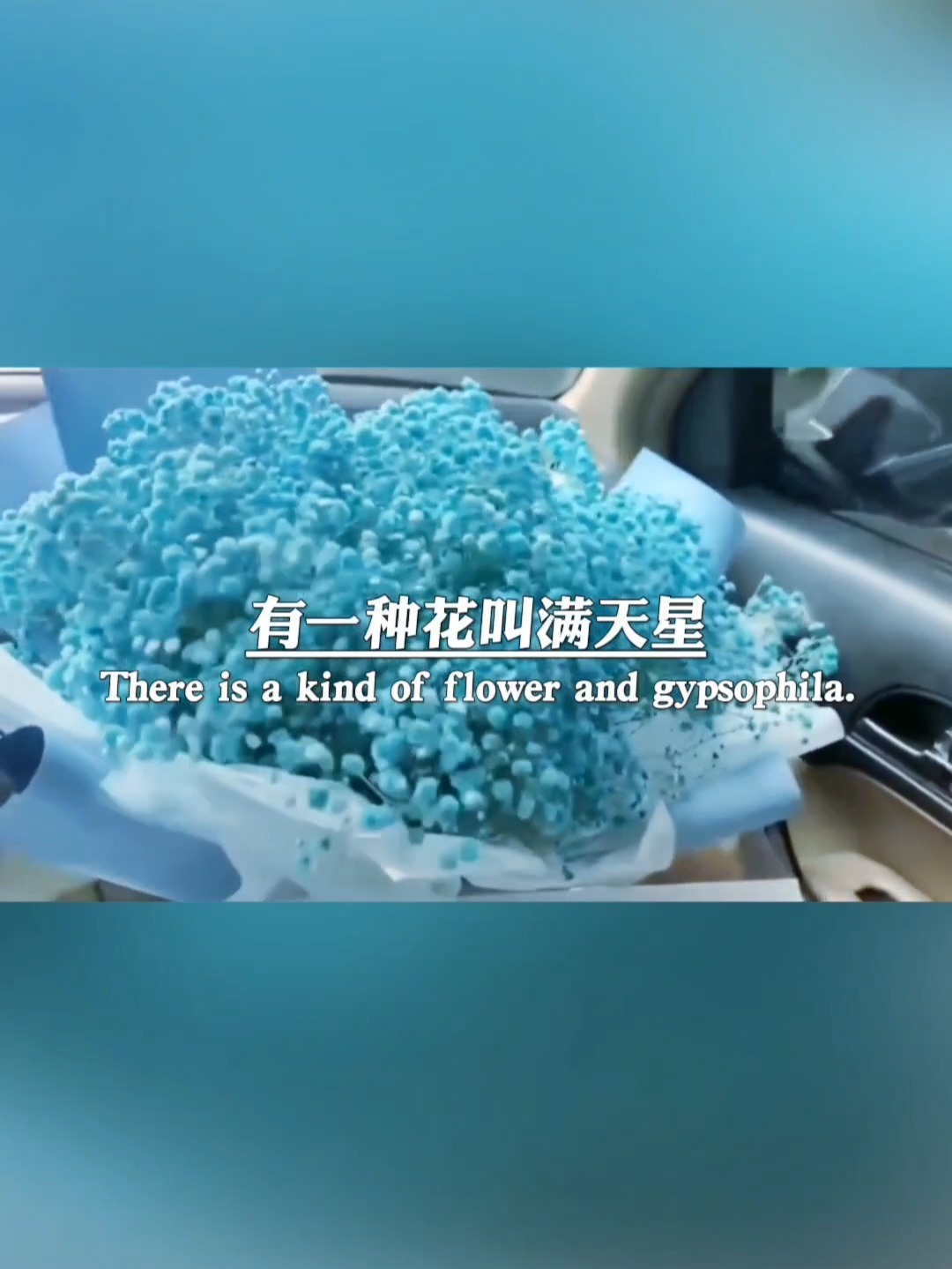 满天星花语文案