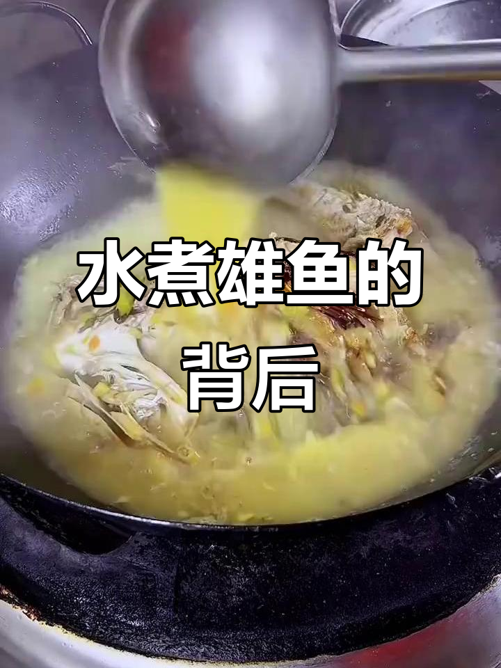人生如戏,水煮雄鱼背后的故事