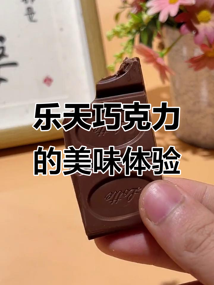 乐天加纳巧克力,香浓细腻,大人小孩都爱吃