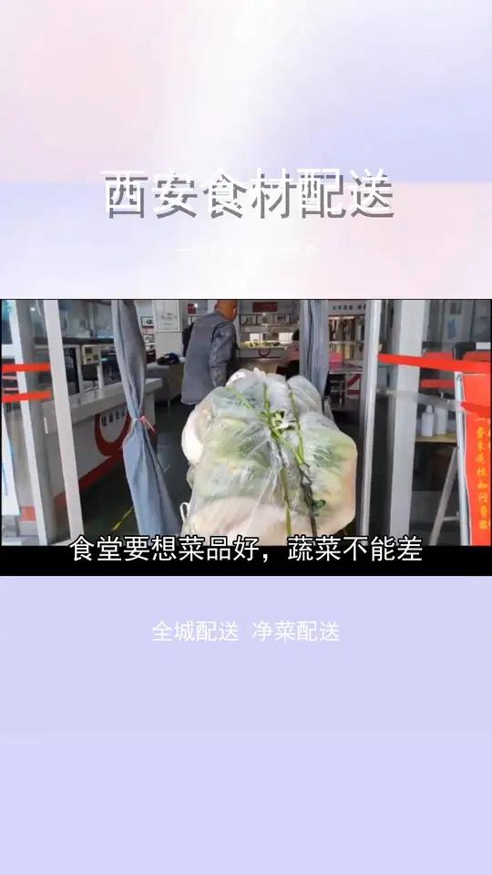 千万别错过!食材公司服务方案,服务方案,您了解了吗?