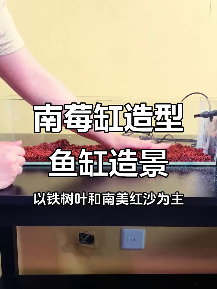 五十升侧滤缸造景,铁树叶与南美红沙搭配打造自然景观