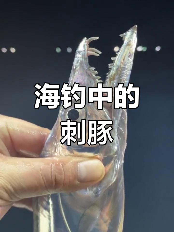 为什么海里的鱼叫河豚?