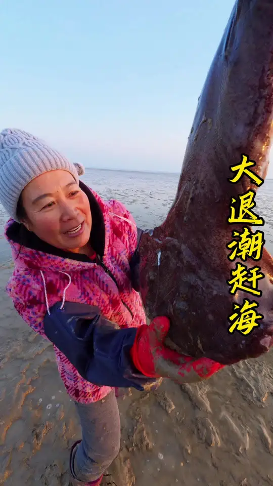 今天渔村迎来了大退潮，和老妈一起去赶新年的第一场海，抓螃蟹，沙光鱼，摸海螺，猫眼螺，刨蛤蜊