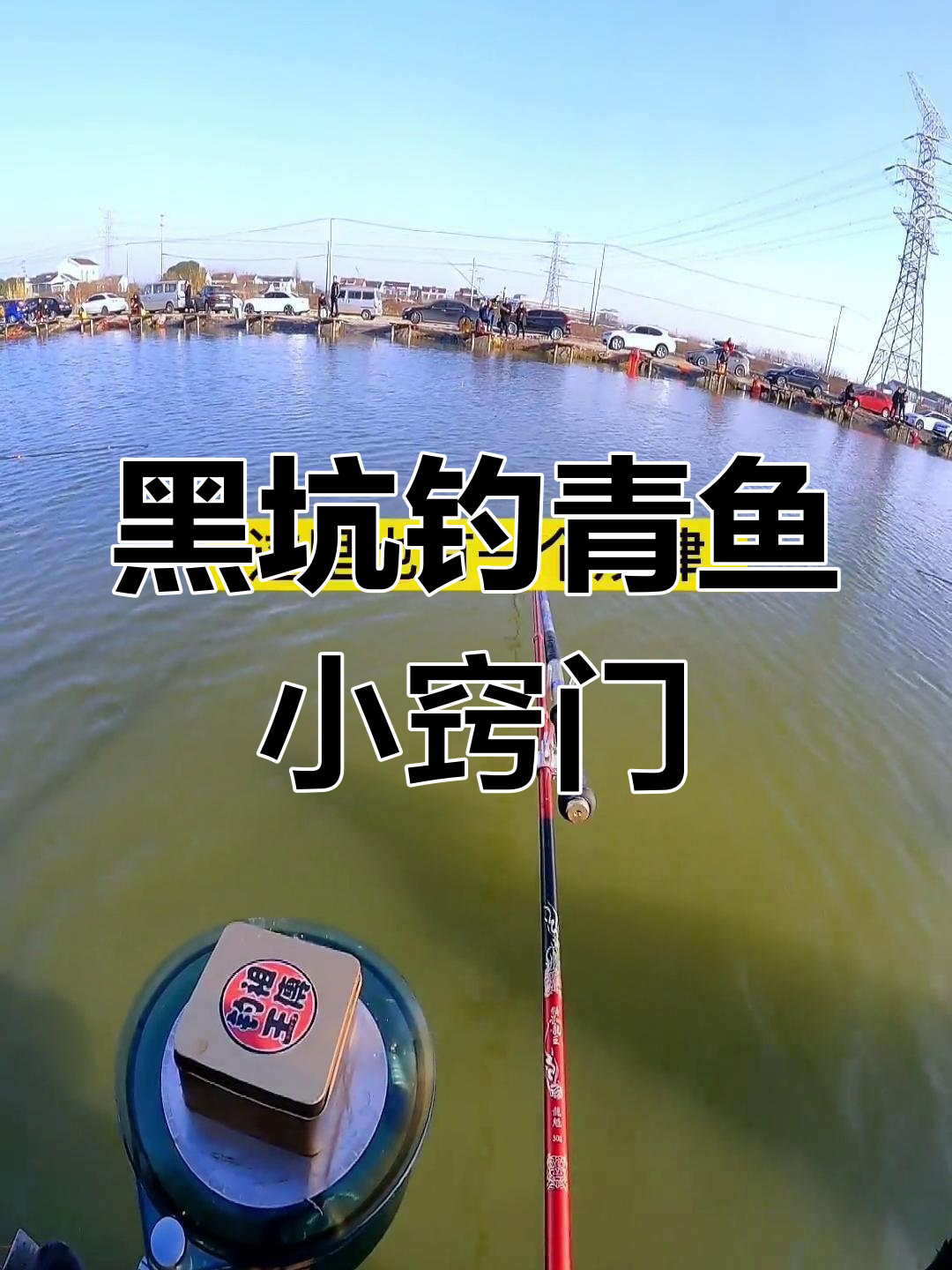 冬季黑坑钓青鱼技巧：蹭线不给口怎么办？