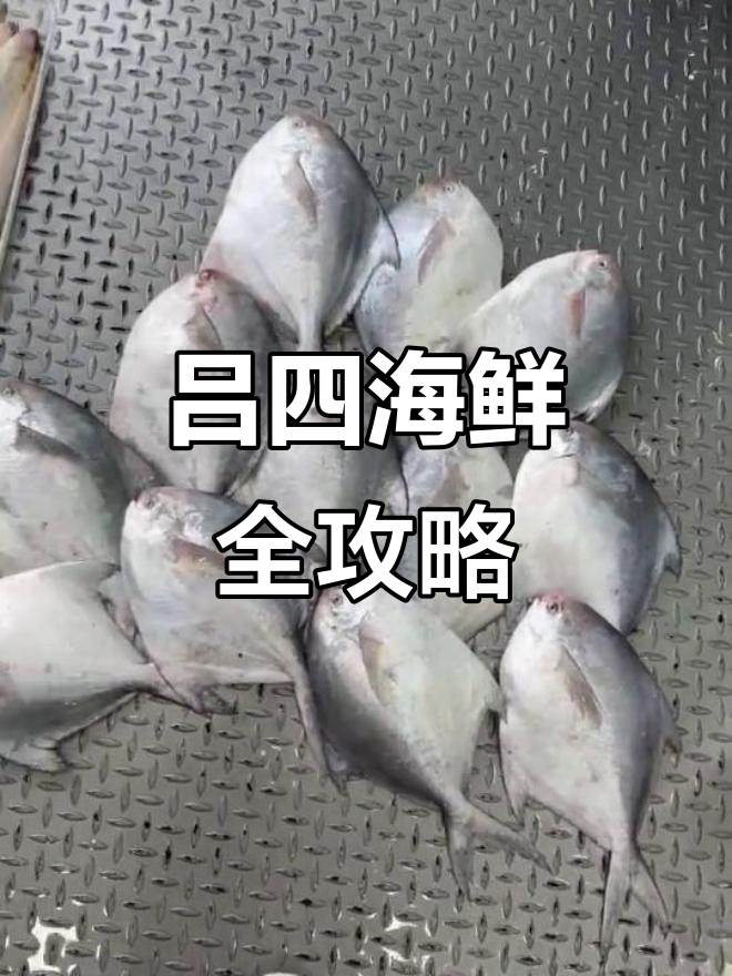 吕四海鲜大餐:老鹰、刀鱼、鲳鱼一网打尽