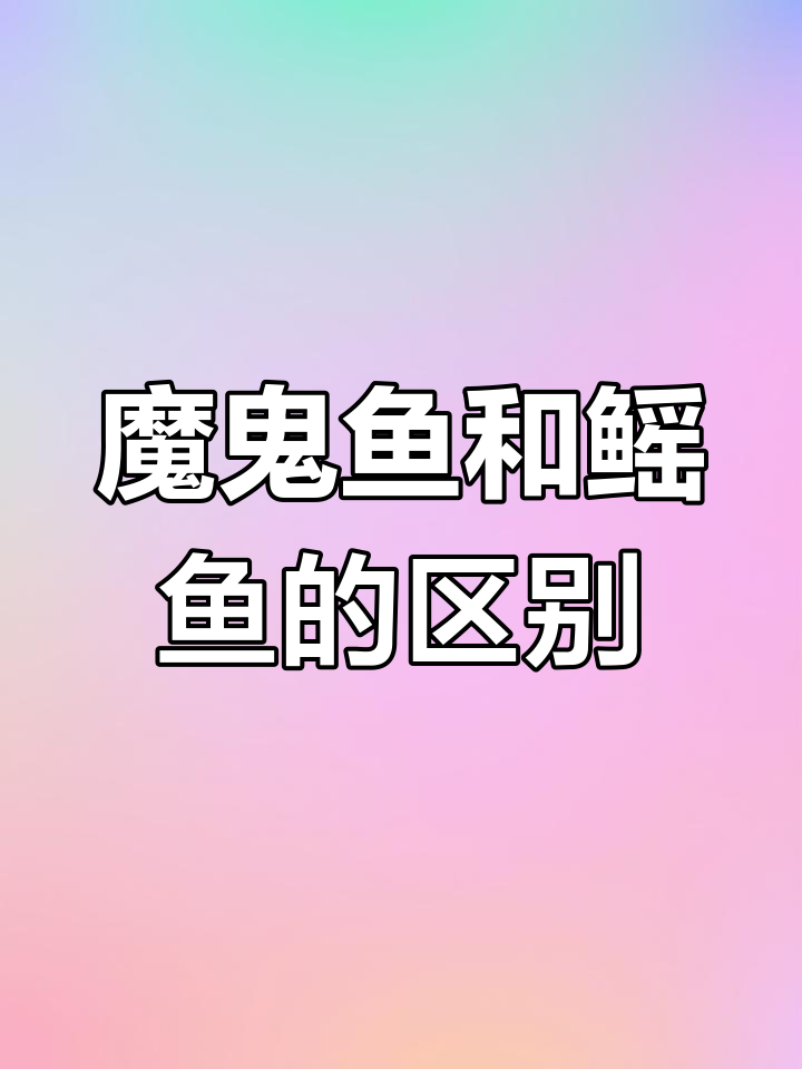 魔鬼鱼与鳐鱼的差异解析