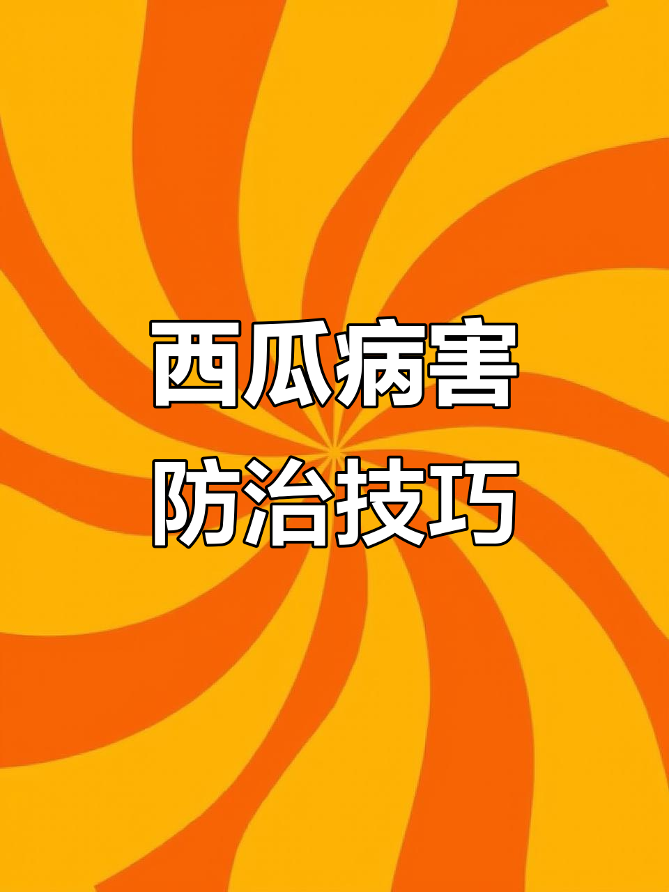 西瓜常见病害防治全攻略,轻松搞定白粉病、炭疽病等