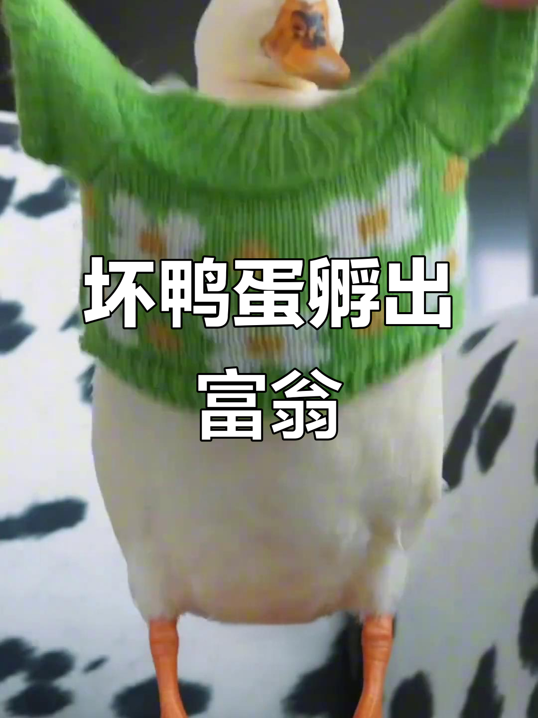 女人用坏蛋孵化小鸭子,竟靠它实现财富自由