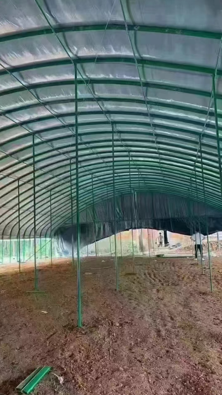 新型养殖大棚 扛风抗雪冬暖夏凉养殖大棚 养殖户首选