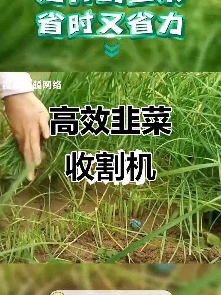 韭菜收割机助力农业机械化,效率大幅提升