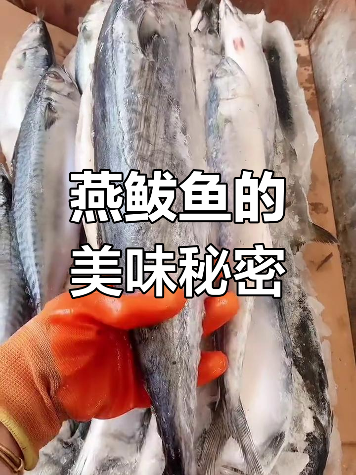 燕鲅鱼肉质鲜嫩,无刺口感绝佳,真是美味的选择!