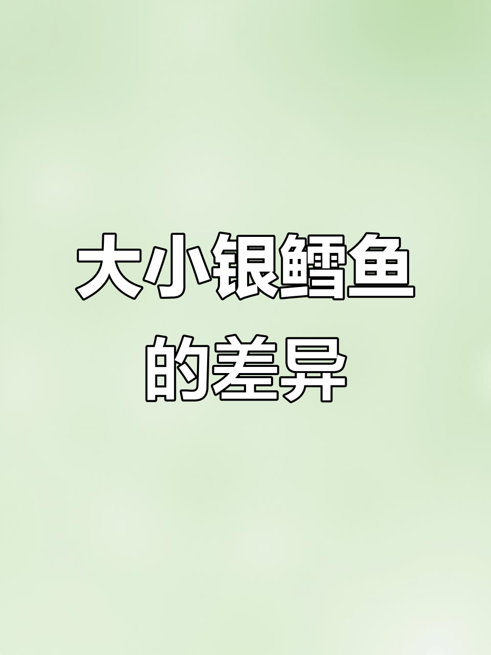 法国银鳕鱼大规格和小规格的差别,哪个更适合你?