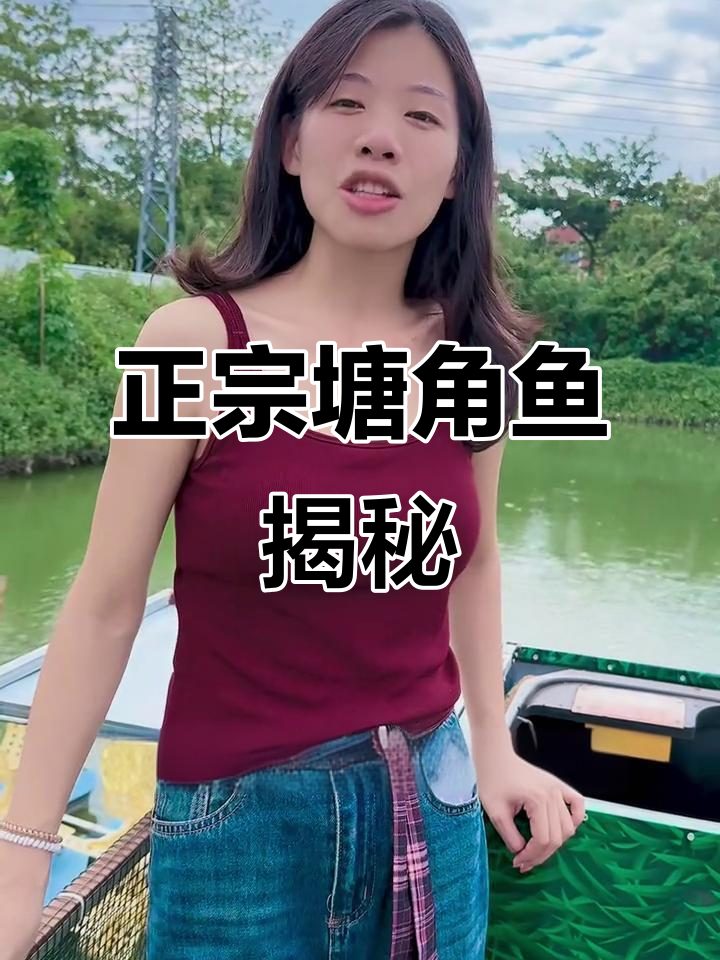 塘角鱼与皇五牛鲺的奇妙之旅,带你了解正宗不锈钢圾