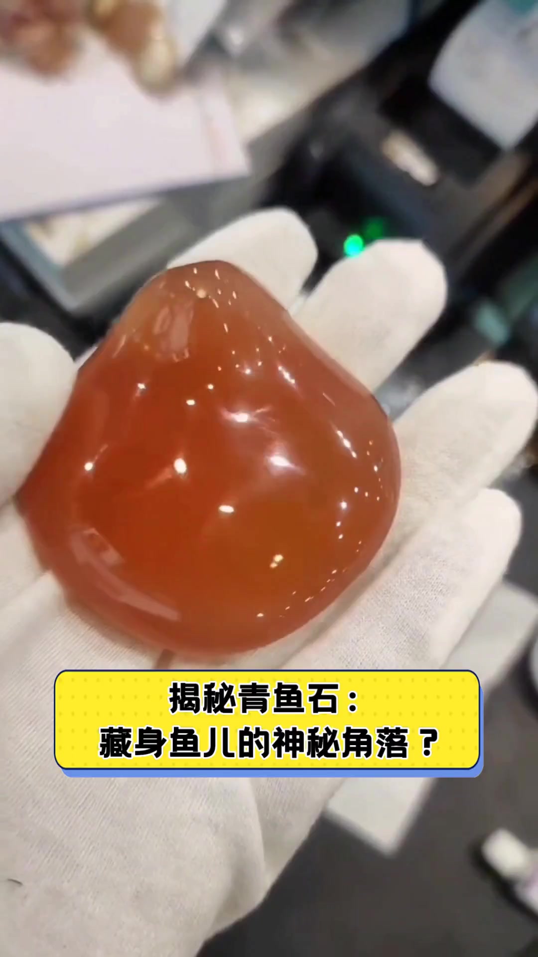 揭秘青鱼石:藏身鱼儿的神秘角落?