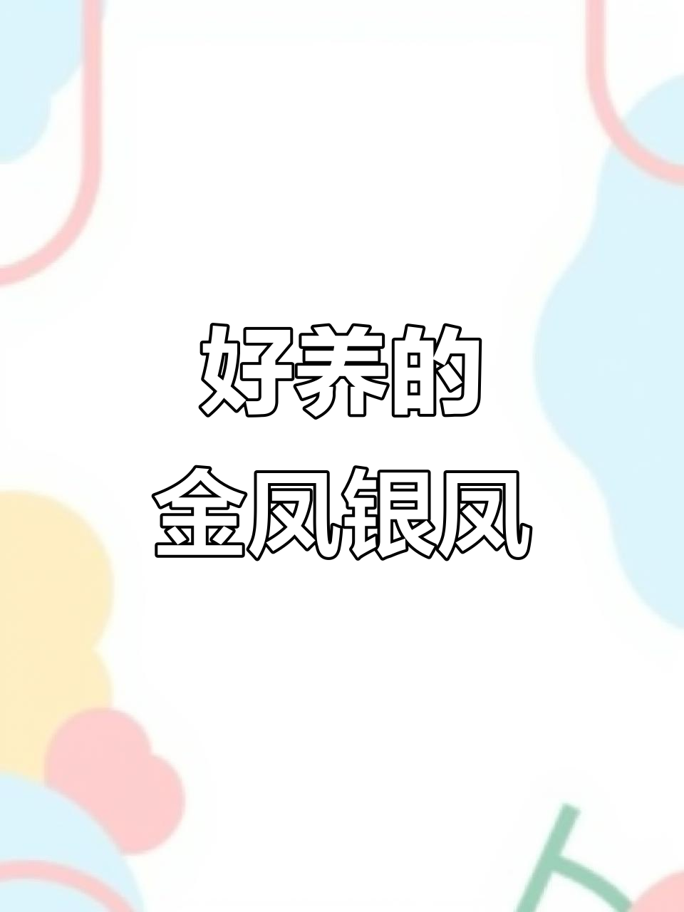 泰国鲫：美丽又好养的观赏鱼，适合与龙鱼搭配