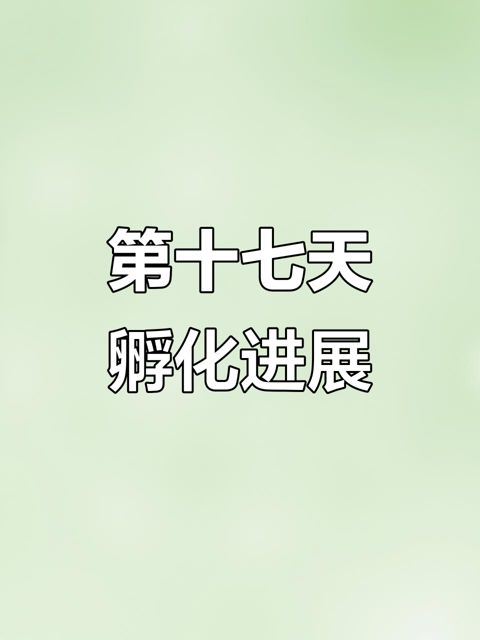龙鱼缸内繁殖关键时刻,公母龙鱼终于有了“爱情”