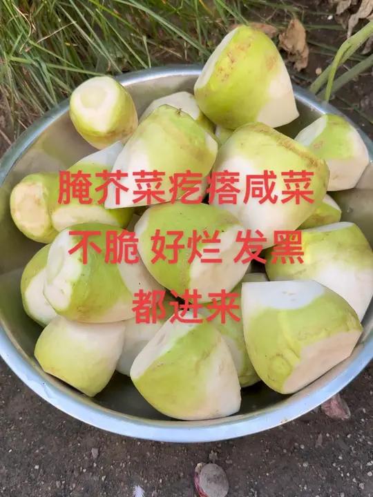 芥疙瘩咸菜腌制方法