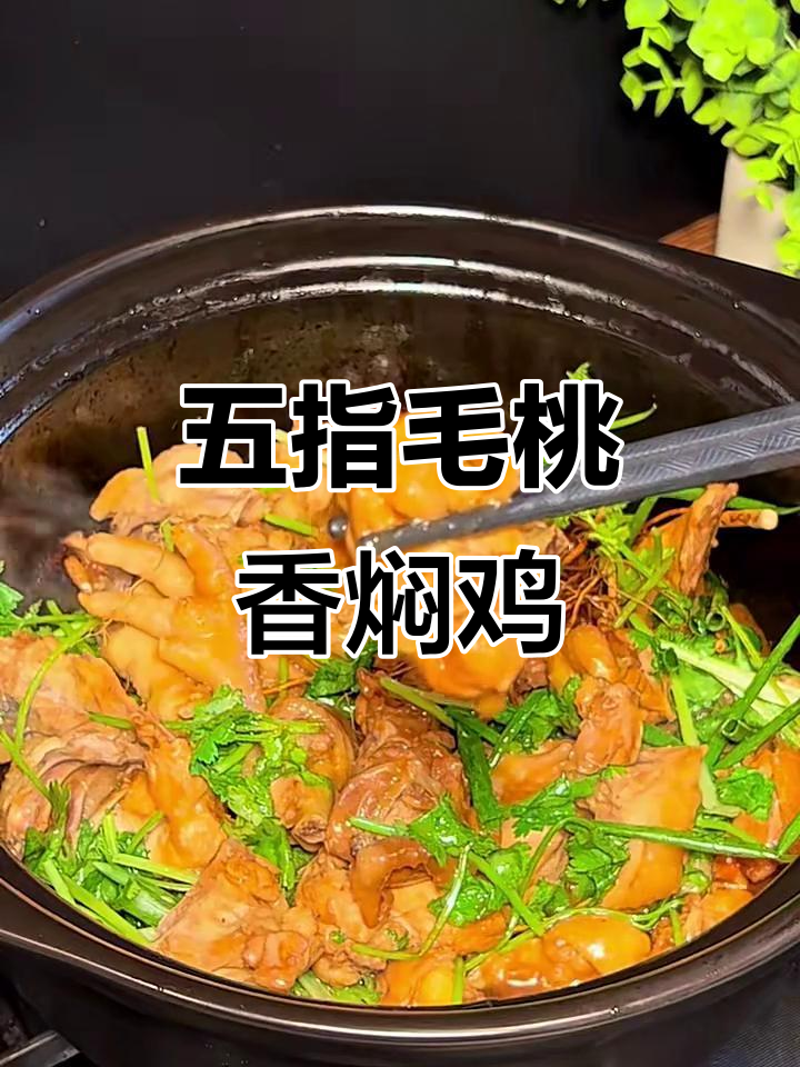 五指毛桃焗鸡,香气扑鼻又营养,祛湿温补全家爱