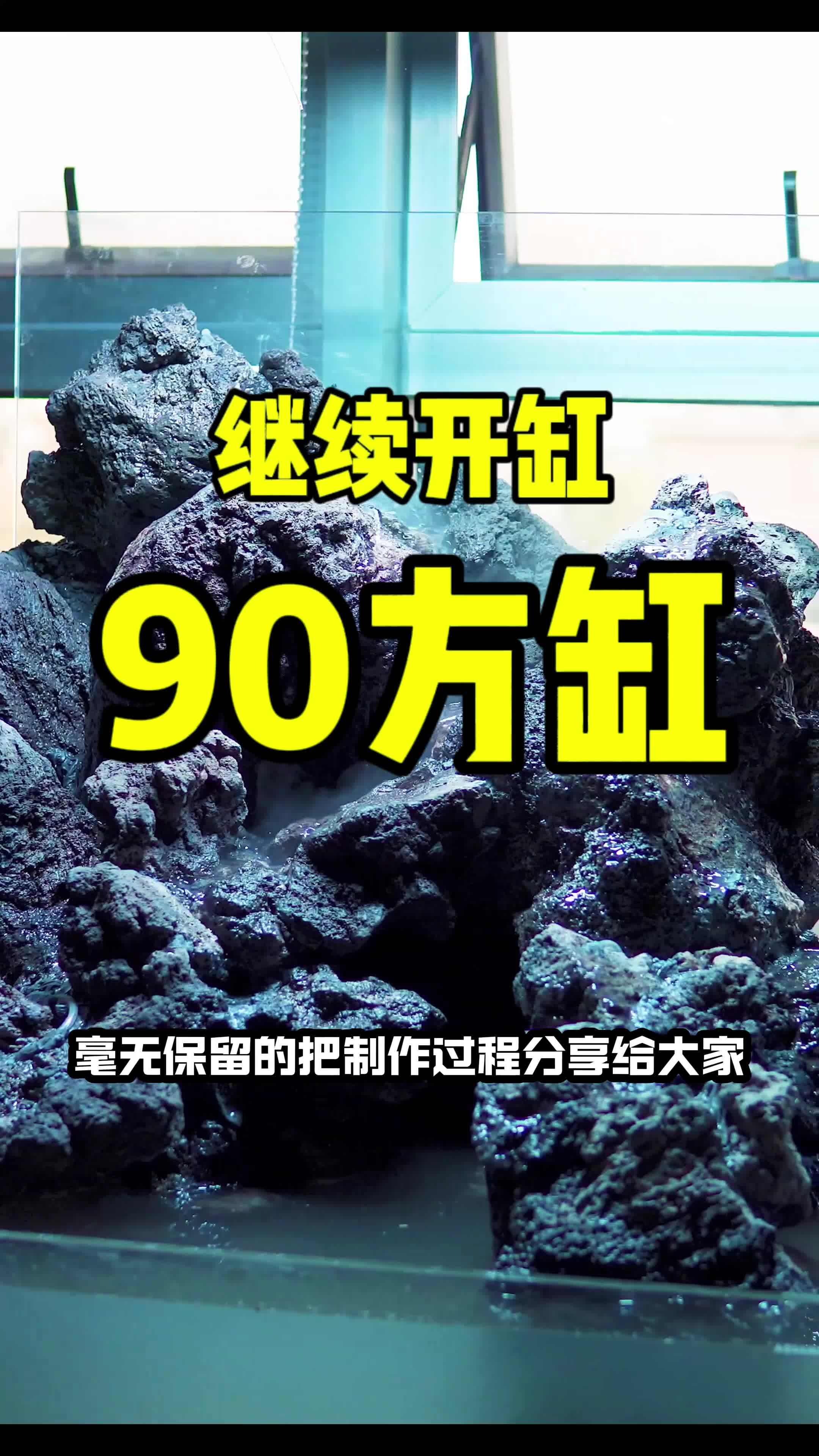 鱼缸造景教程,相信大家看完视频会发现脑子全懂了,手还是不会!哈哈哈 水族 鱼缸里的大自然 