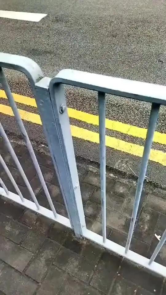 深圳和香港的马路护栏