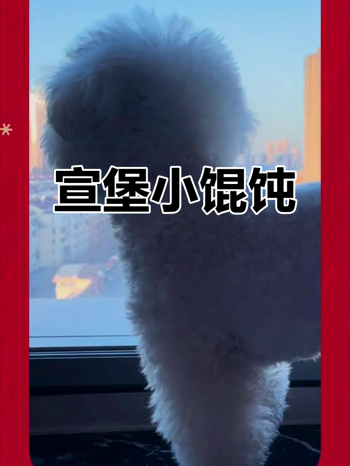 江苏媳妇回乡必试小馄饨,红汤美味让人怀念