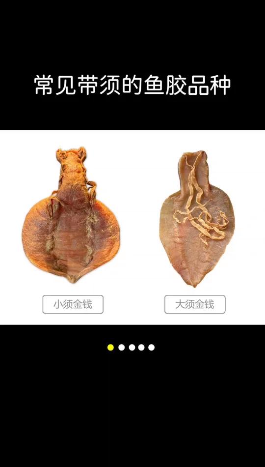 带须的鱼胶品种有那些?