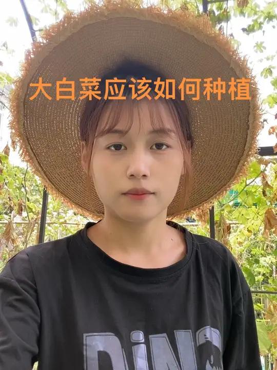今天分享大白菜应该如何种植 记录真实生活 新农人 分享农业知识帮农民增产增收