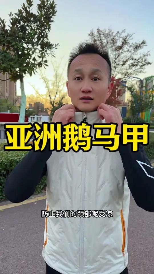 国际品牌亚洲鹅,只要79块钱,不输几百元的品质,科技的保温棉,防风防水防寒的面料,版型正,
