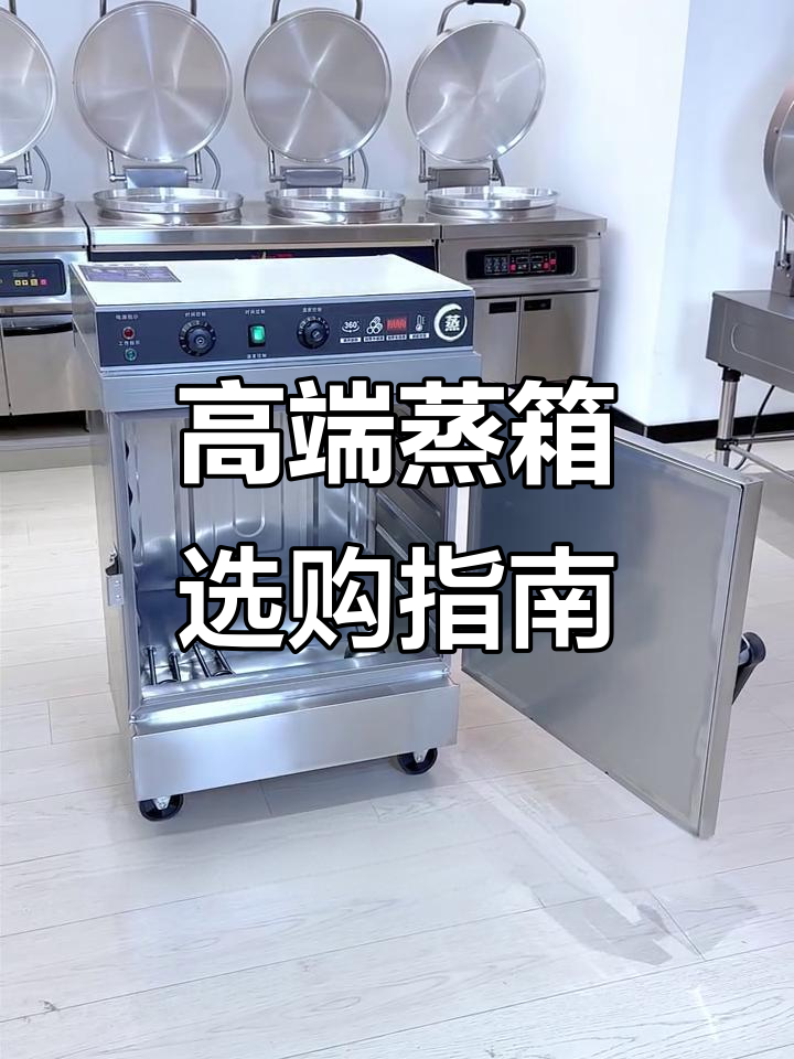 智能温控蒸箱,多种尺寸选择,品质保证,工厂直发