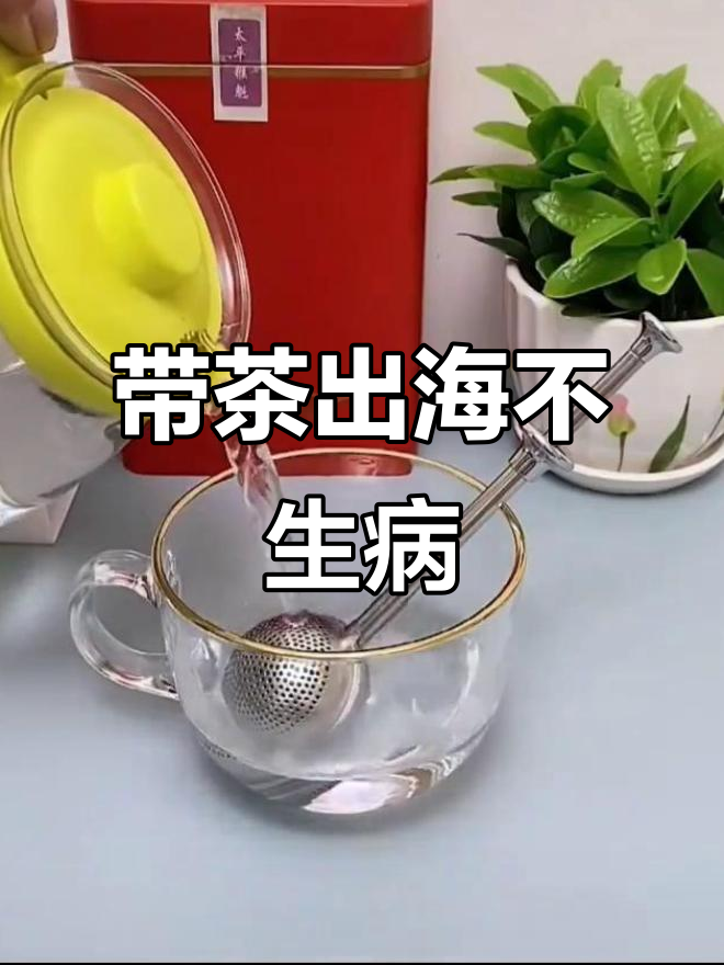 郑和下西洋带茶叶,船员无一病死