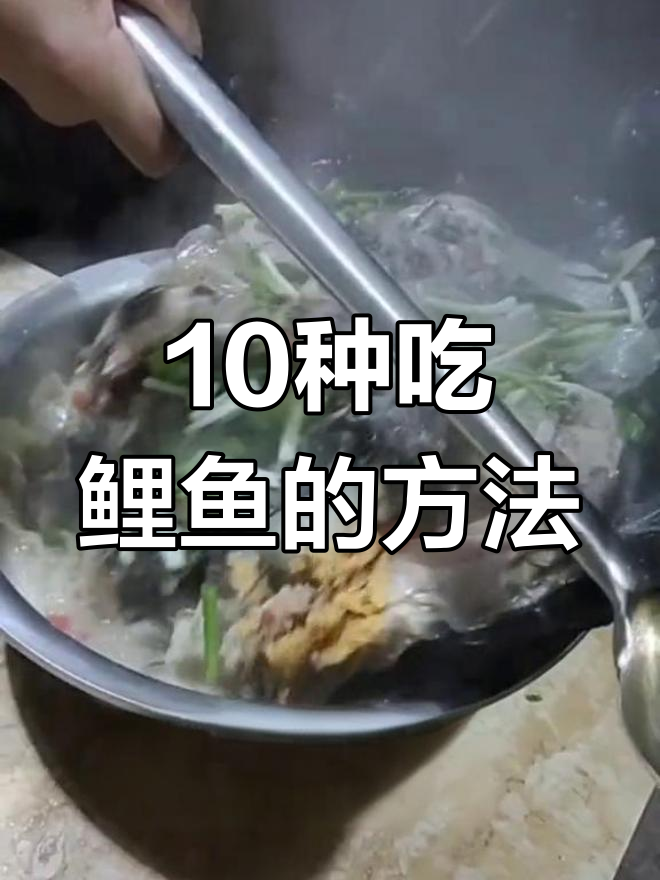 鲤鱼十种美味做法,8斤大餐