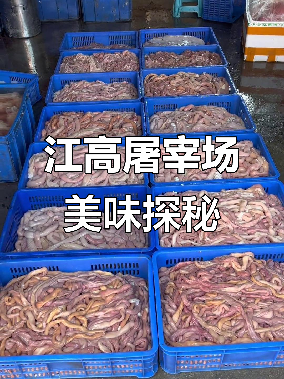广州江高屠宰场:新鲜牛肠与牛杂煲的美味之旅