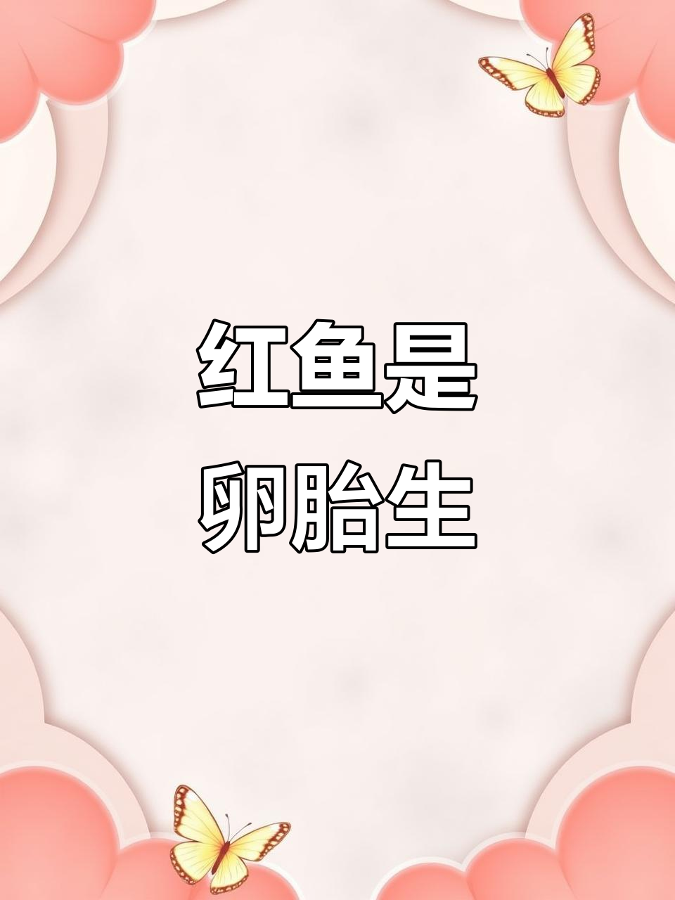 红鱼竟是胎生!揭秘魔鬼鱼的生育方式与生存技巧