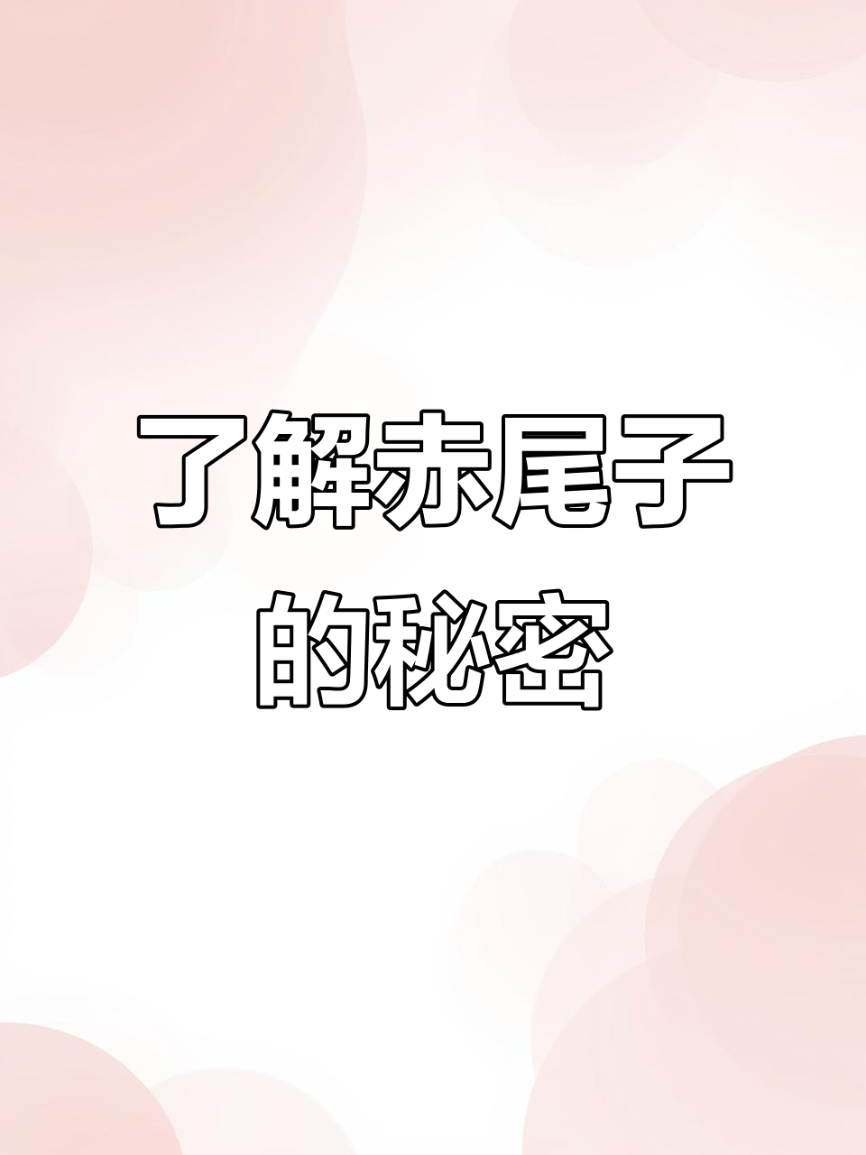 赤尾子：珍稀淡水鱼，生长缓慢却美味无比