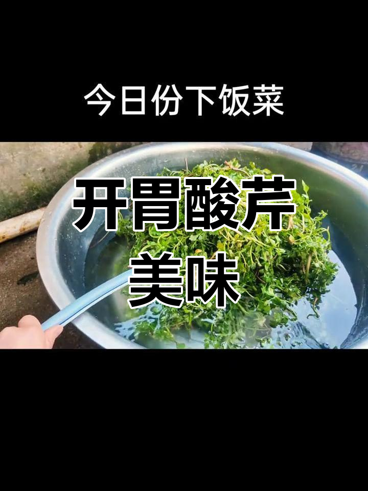贵州野芹菜,酸汤浸泡一晚,搭配辣椒蘸水,开胃又下饭!