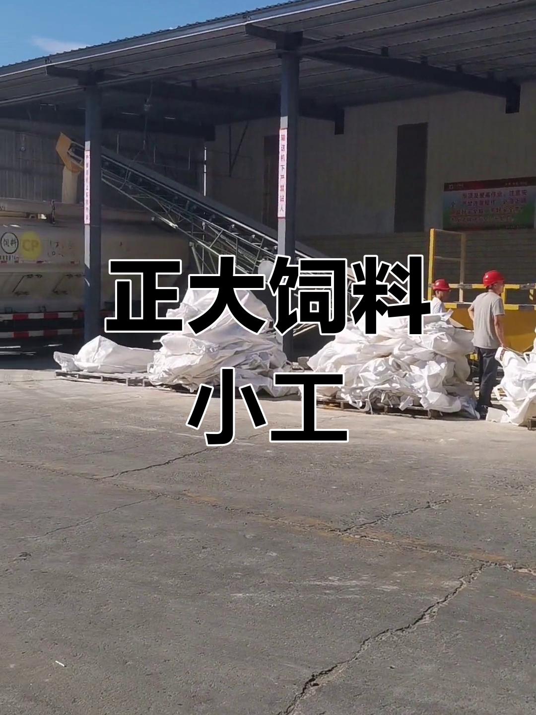 正大饲料司机的工作性质