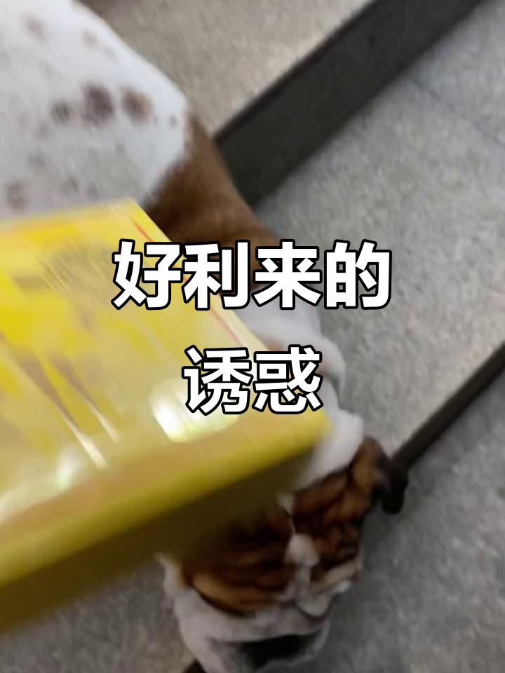 出门不花点小钱,怎能享受正宗好利来蛋糕的滋味?