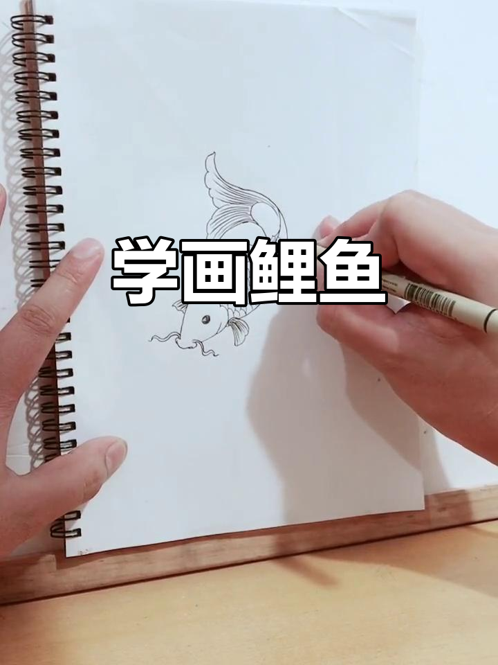 鲤鱼简笔画教程,轻松学会画可爱小鲤