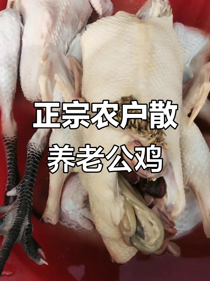 土鸡土鸭散养,皮薄肉厚老棒哈!
