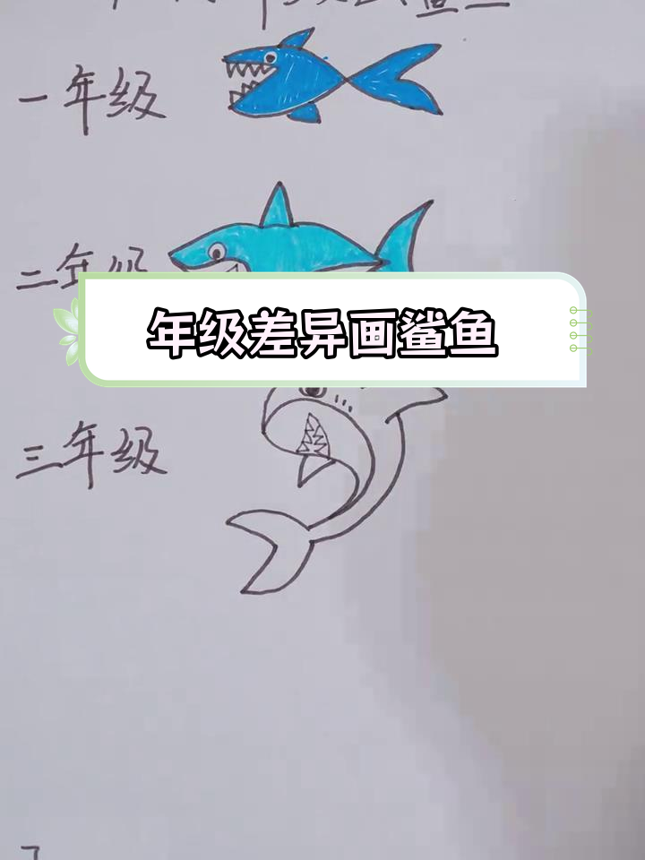 不同年级的鲨鱼画作,看看你画的像吗?