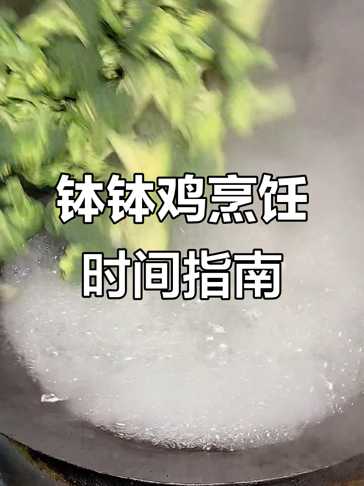 钵钵鸡菜品煮制技巧大揭秘,掌握这些火候让你也能摆摊!