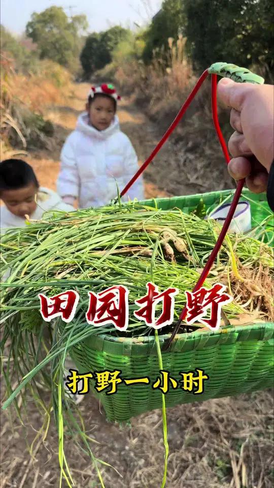 南方人冬天挖野菜日常 我的乡村生活乡村生活乡村田野乡村英才计划挖野菜南方的乡村，即使在冬天