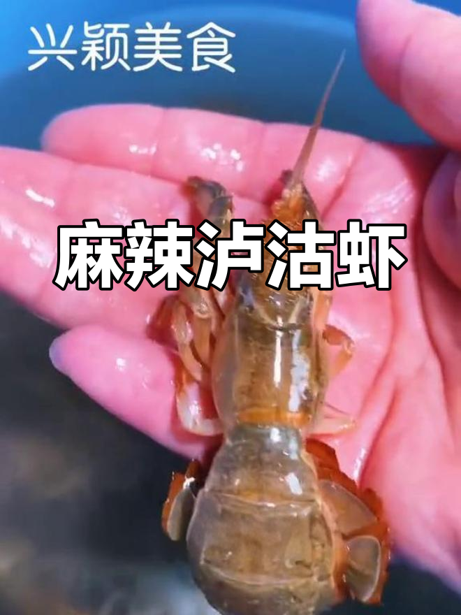 大连麻辣泸沽虾,鲜美回甜
